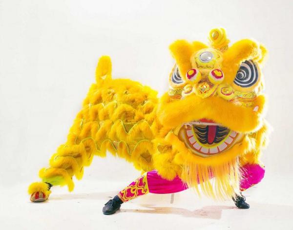 時代廣場「一代醒獅」展覽 時代廣場「一代醒獅」展覽